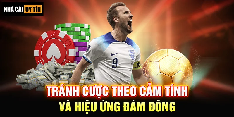 Tránh Cược Theo Cảm Tính Và Hiệu Ứng Đám Đông